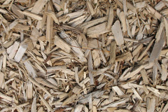 biomass boilers Nortons Wood
